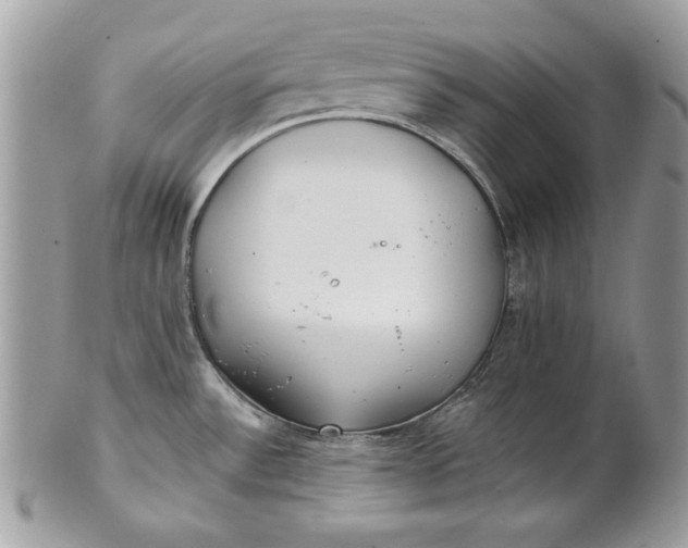 X0000100871532200807071050