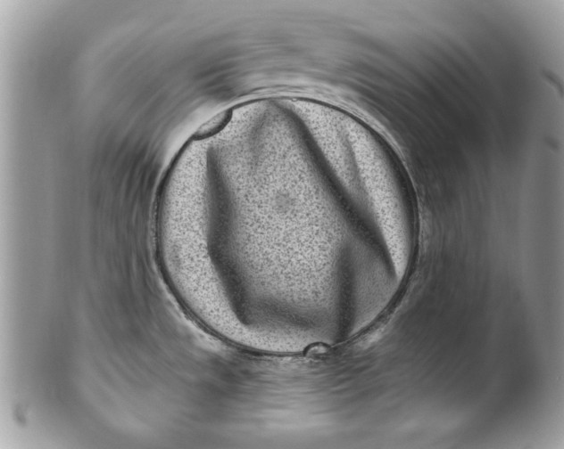 X0000100871533200807071050