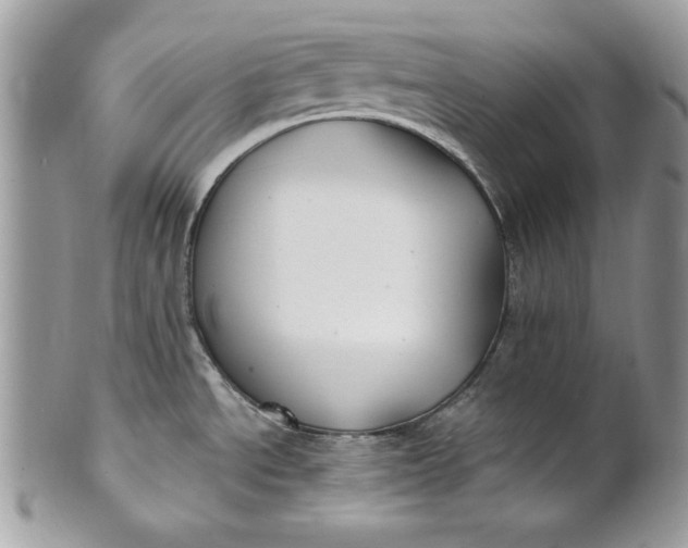 X0000100871534200807071050