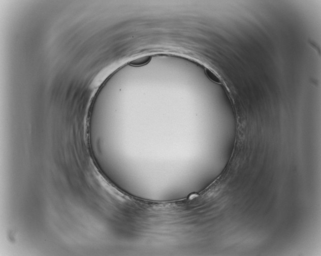 X0000100871535200807071050