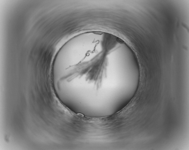 X0000100871536200807071050