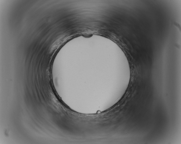 X0000100870002200807111329