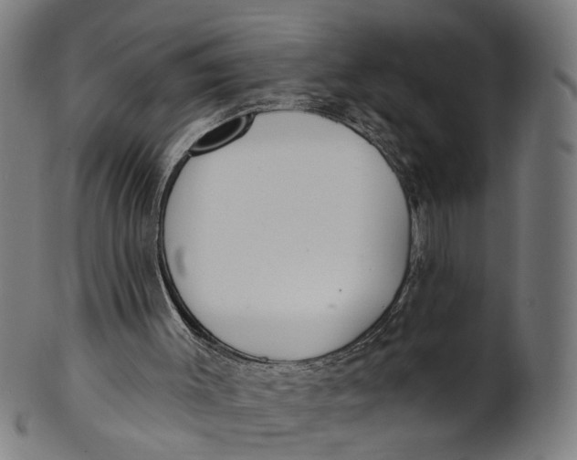 X0000100870003200807111329