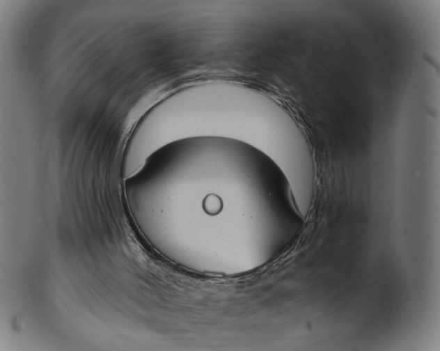 X0000100870004200807111329