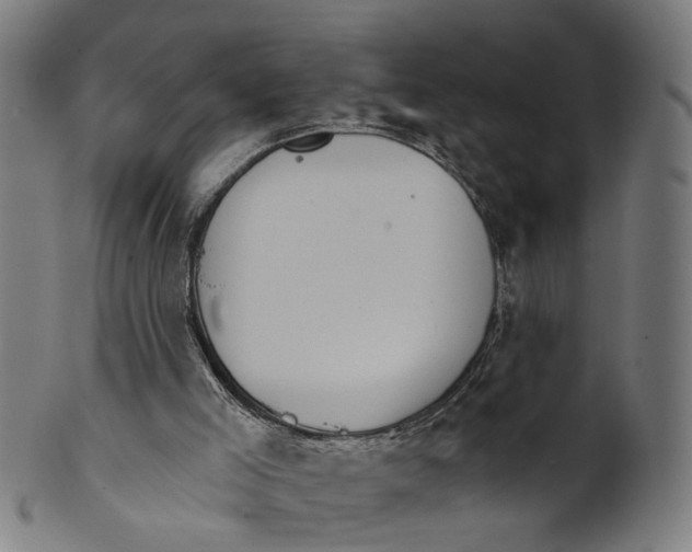 X0000100870005200807111329