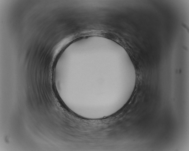 X0000100870006200807111329