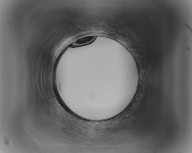 X0000100870007200807111329