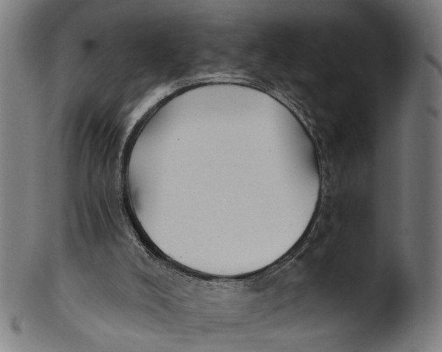 X0000100870008200807111329