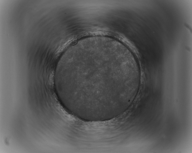 X0000100870009200807111329