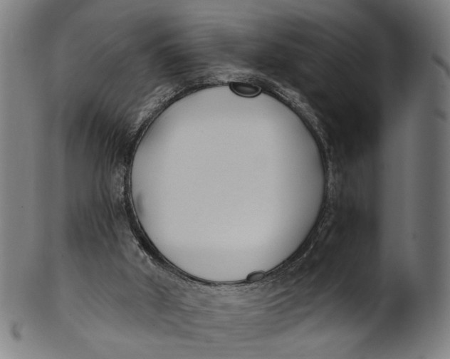 X0000100870010200807111329