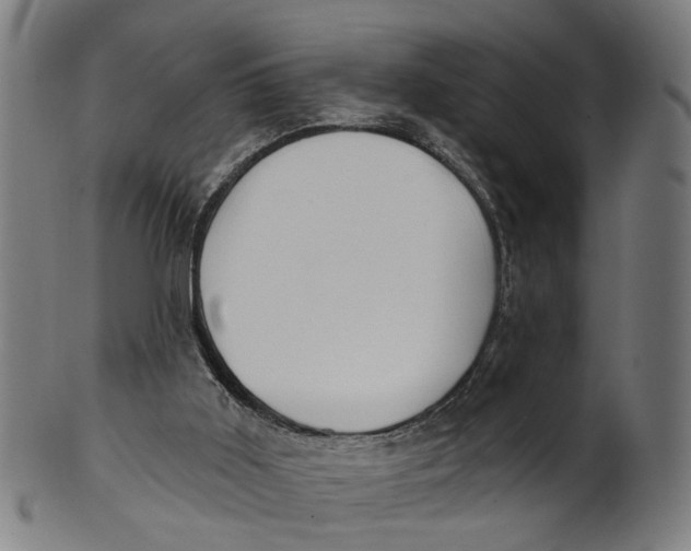 X0000100870011200807111329