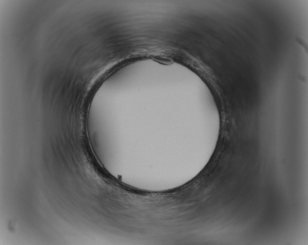X0000100870012200807111329