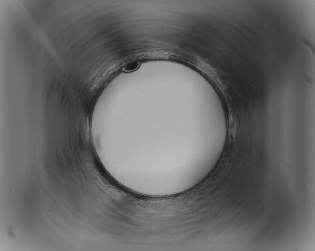 X0000100870013200807111329