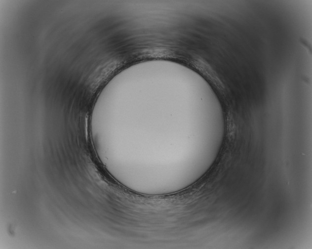 X0000100870014200807111329