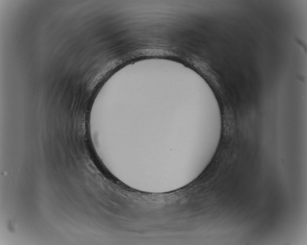 X0000100870015200807111329