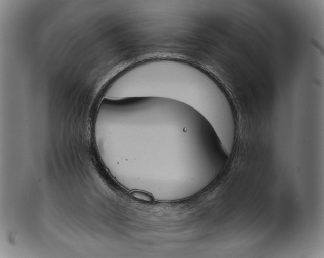 X0000100870016200807111329
