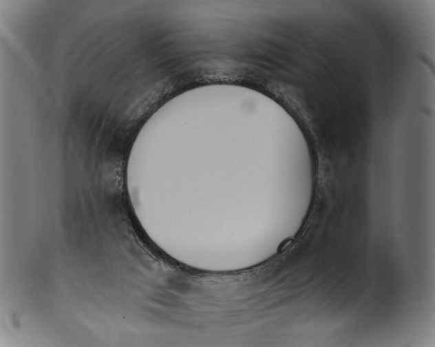 X0000100870017200807111329