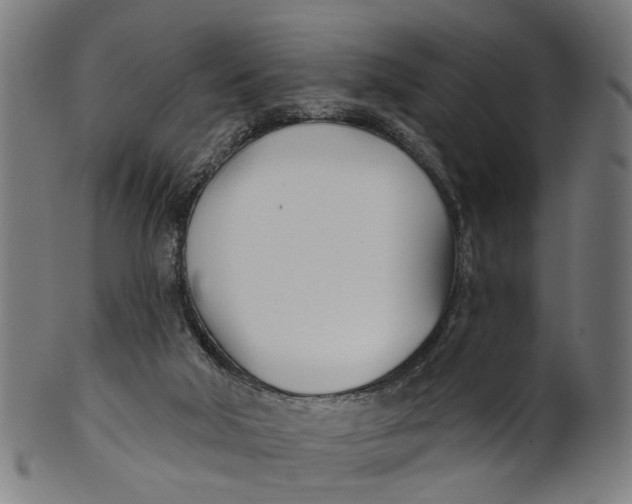 X0000100870018200807111329