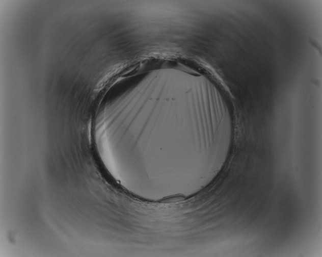 X0000100870019200807111329