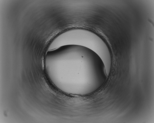 X0000100870020200807111329