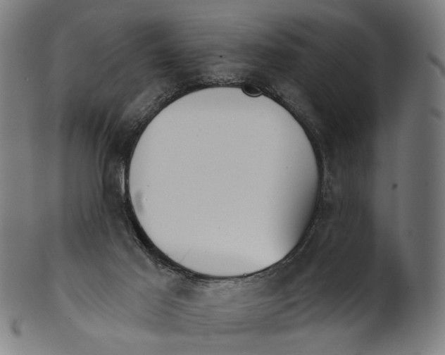 X0000100870021200807111329
