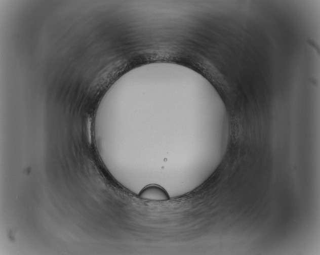 X0000100870022200807111329