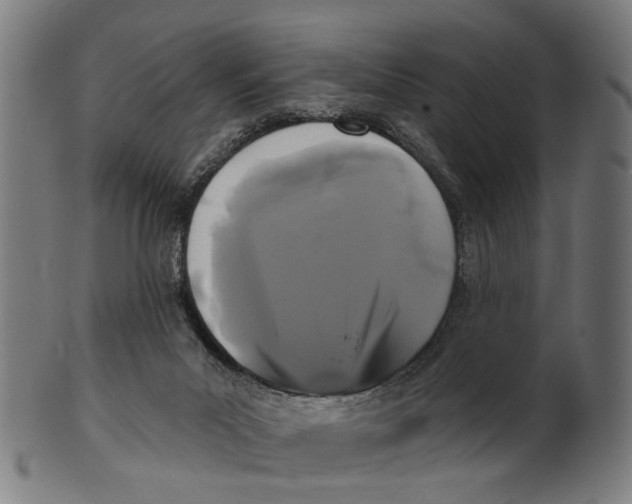 X0000100870023200807111329