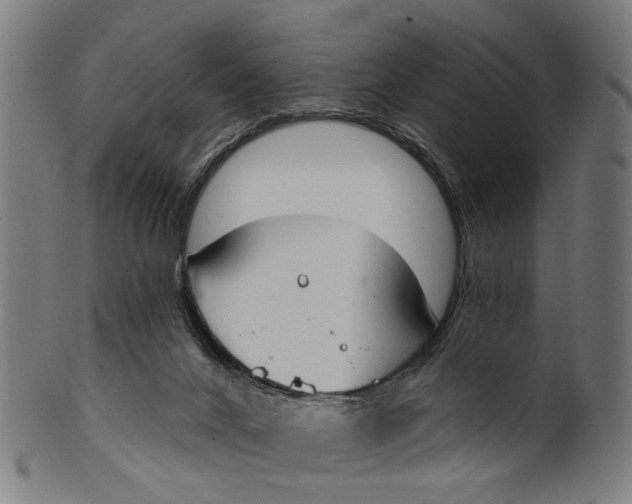X0000100870024200807111329