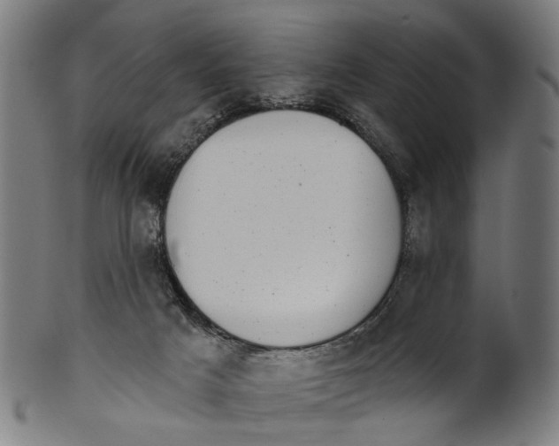 X0000100870025200807111329