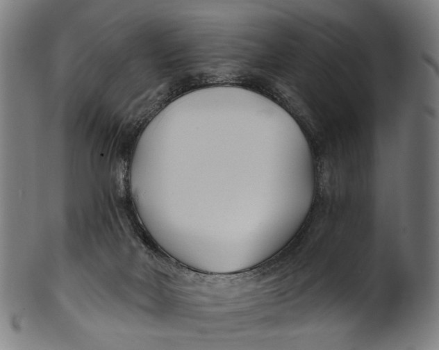 X0000100870026200807111329