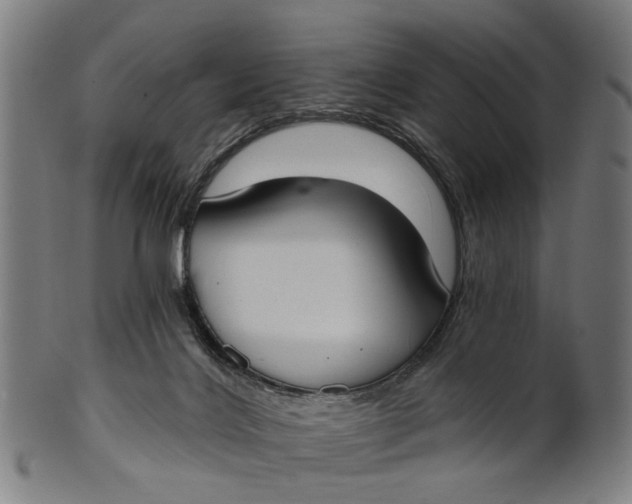X0000100870028200807111329