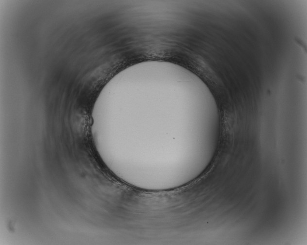 X0000100870029200807111329