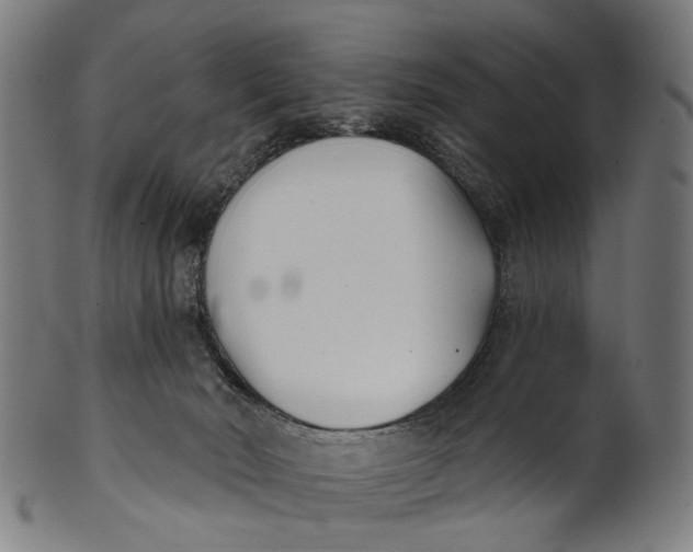 X0000100870030200807111329