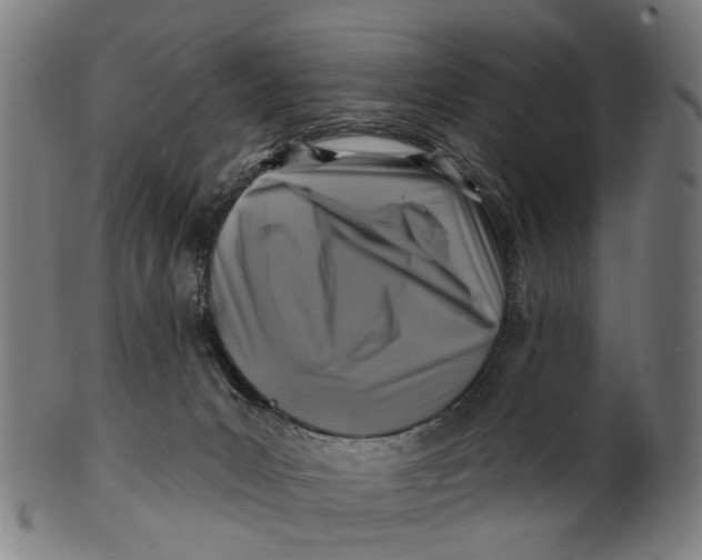 X0000100870031200807111329
