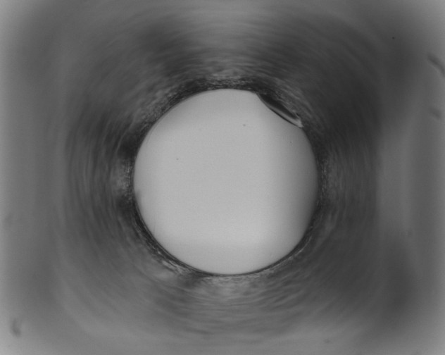 X0000100870033200807111328