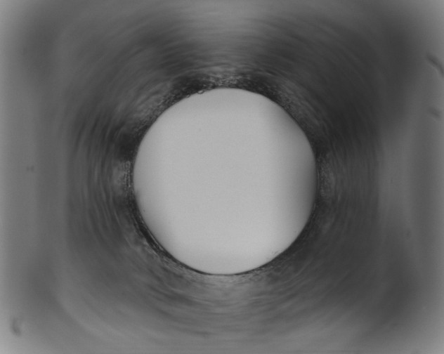 X0000100870034200807111328