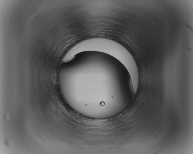 X0000100870036200807111328