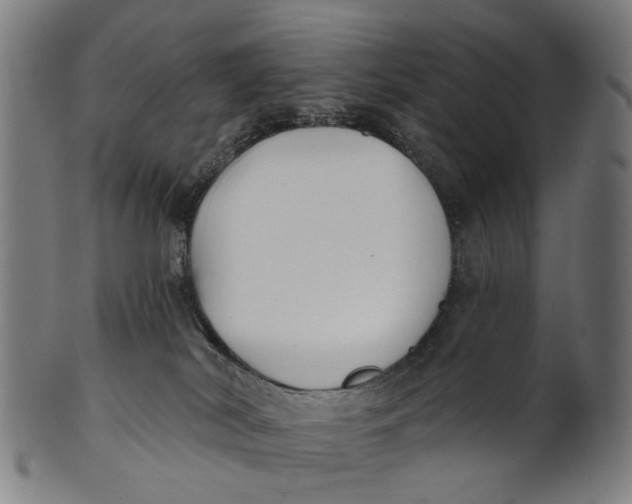 X0000100870038200807111328