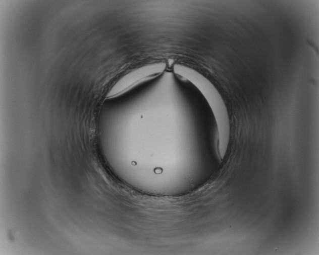 X0000100870040200807111328