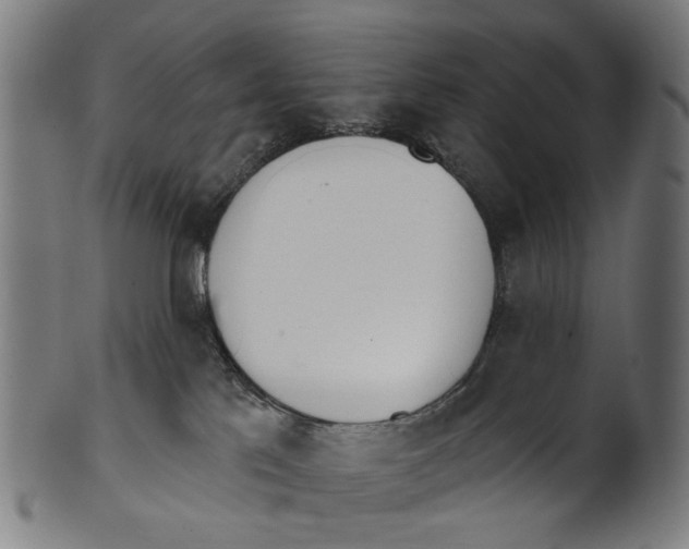 X0000100870041200807111328