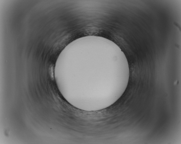 X0000100870042200807111328