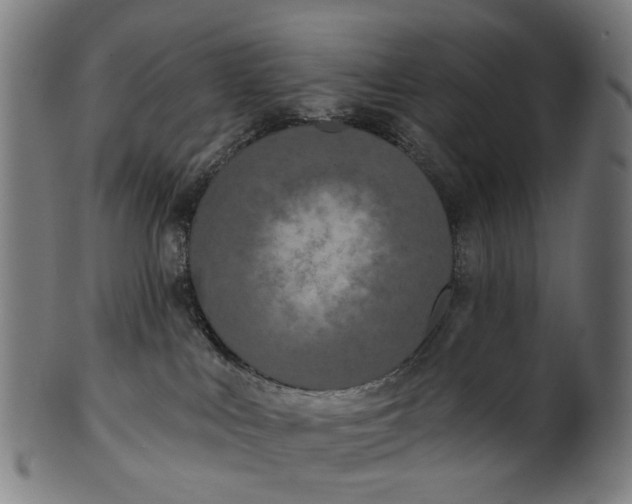 X0000100870043200807111328
