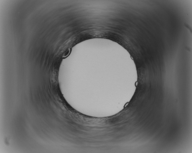 X0000100870044200807111328