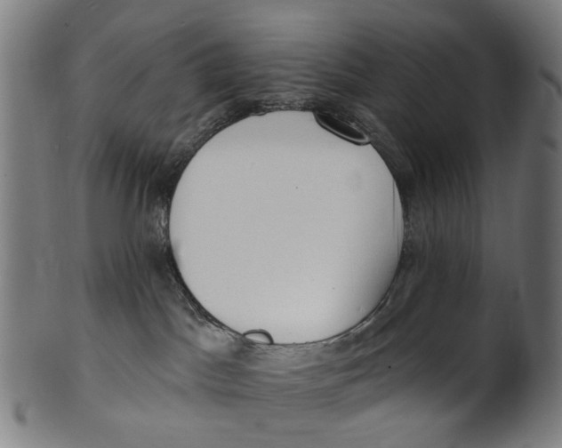 X0000100870045200807111328
