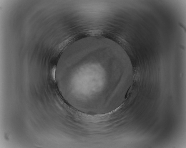 X0000100870047200807111328