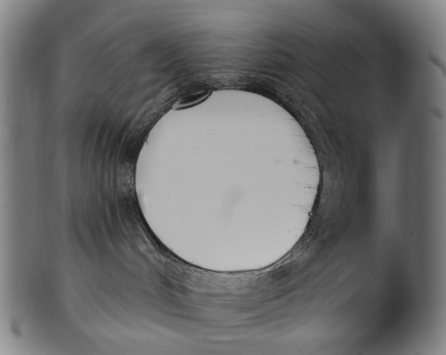 X0000100870048200807111328