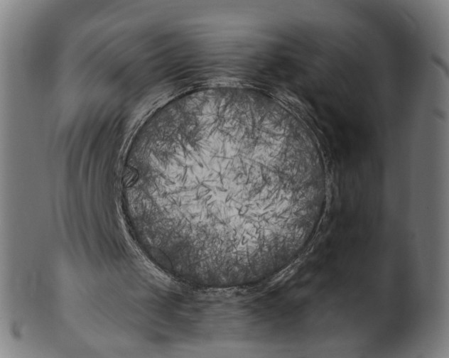 X0000100870049200807111327