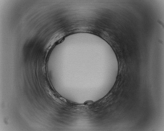 X0000100870050200807111327