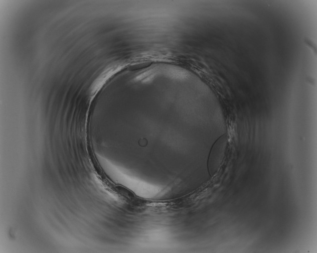 X0000100870052200807111327