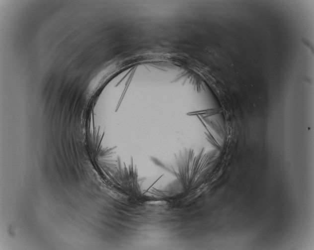 X0000100870053200807111327